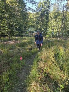 Picture of a man running in nature